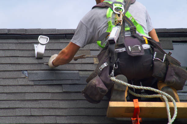 Best Roof Gutter Cleaning  in Point Baker, FL